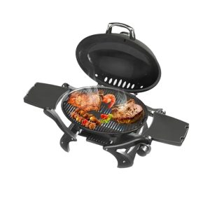 BBQ Gas Grill
