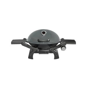 BBQ Gas Grill