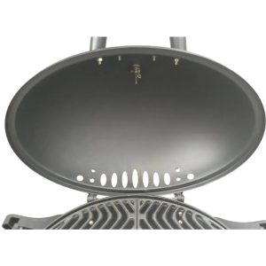 BBQ Gas Grill