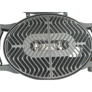 BBQ Gas Grill