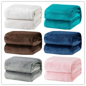 Microfiber Throw Fleece Bed Blanket Wholesale Cheap Solid Color Flannel Blanket Warm Winter Blanket